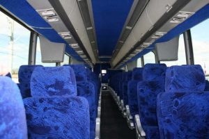 Traveling with Pets: What You Need to Know About Bus Travel in Vilnius